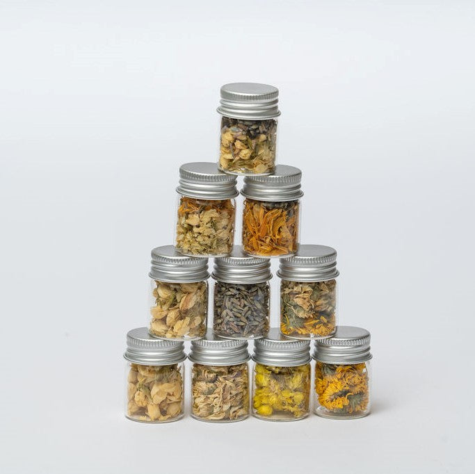 פרחים מיובשים לקישוט - 2 יחידות