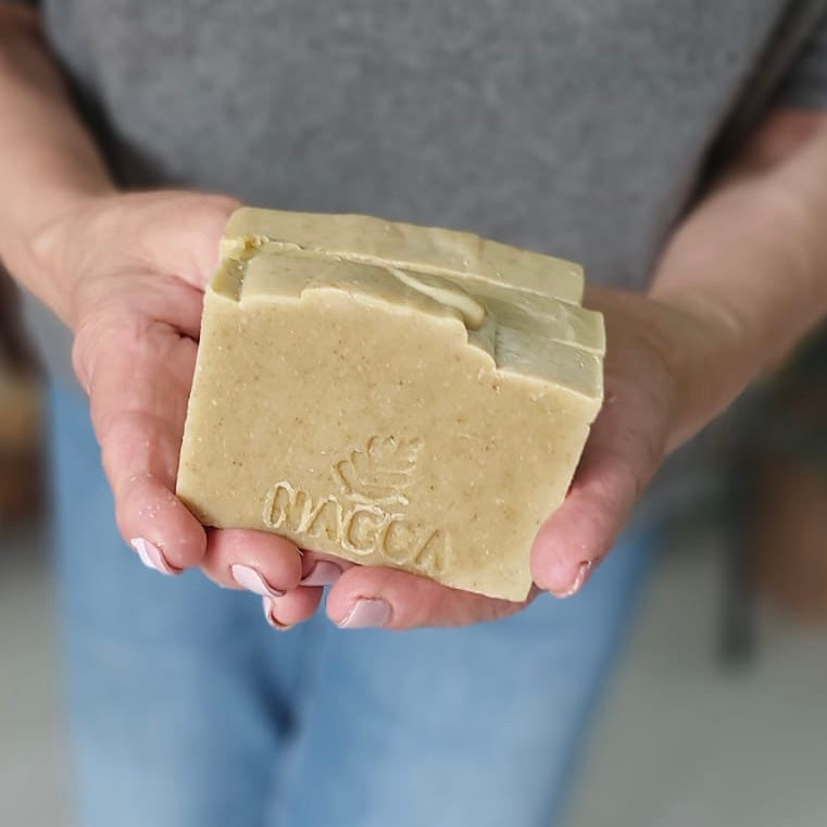 סבון מורינגה - סבון טבעי מוצק